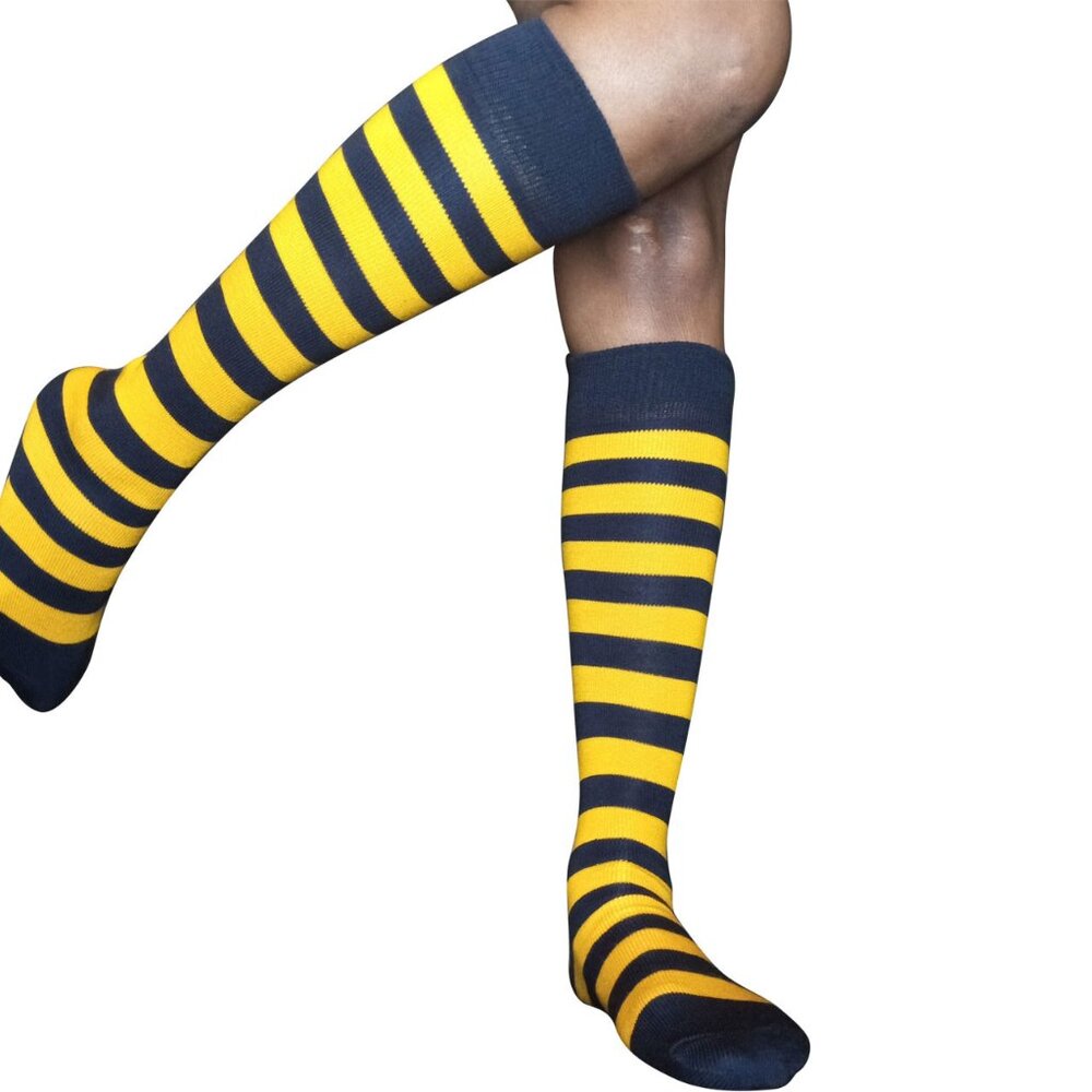 Navy Blue/Gold Striped Socks